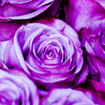 无障碍操作的平台在线ddos压力测试