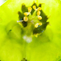 在线DDOS压力测试网页端